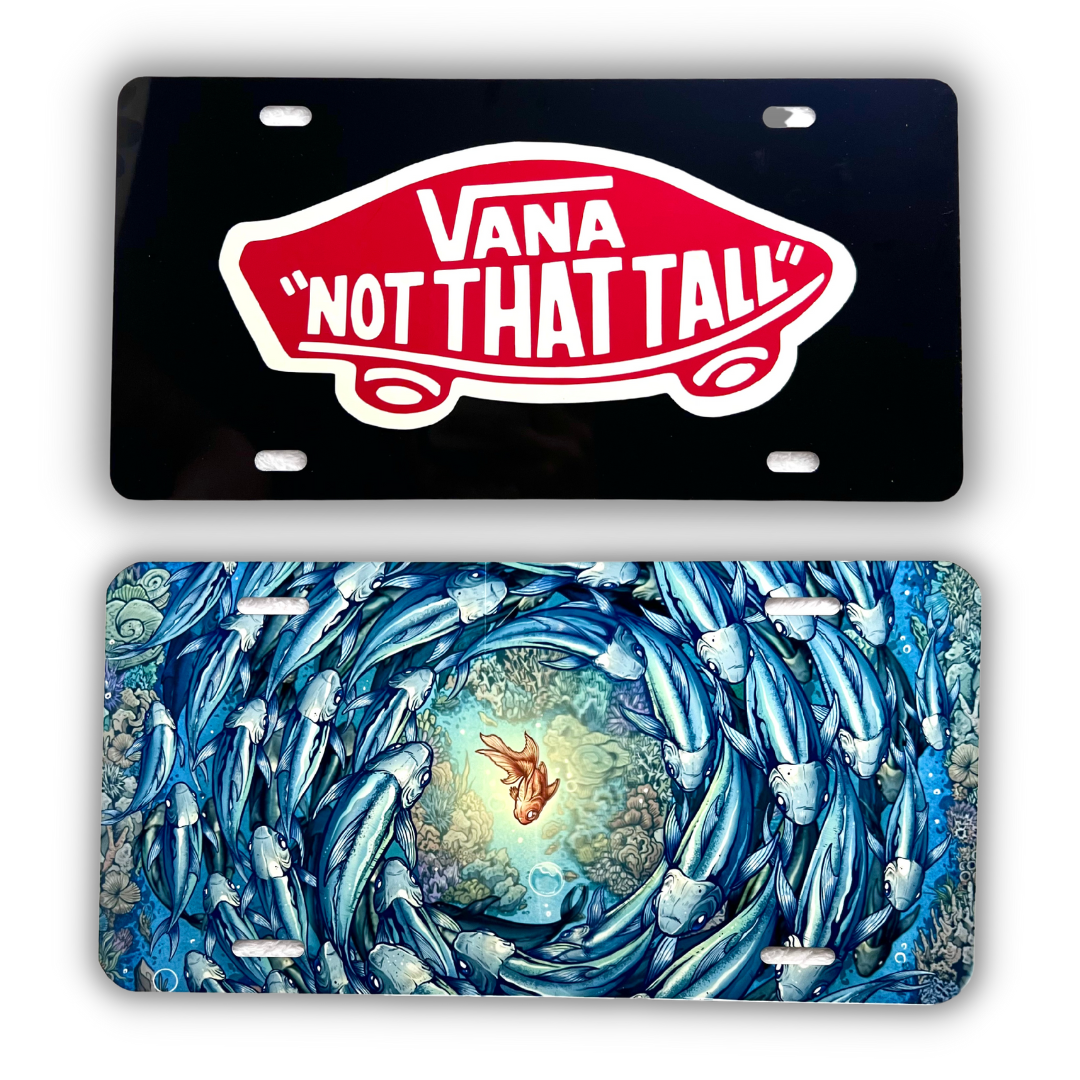 License Plate