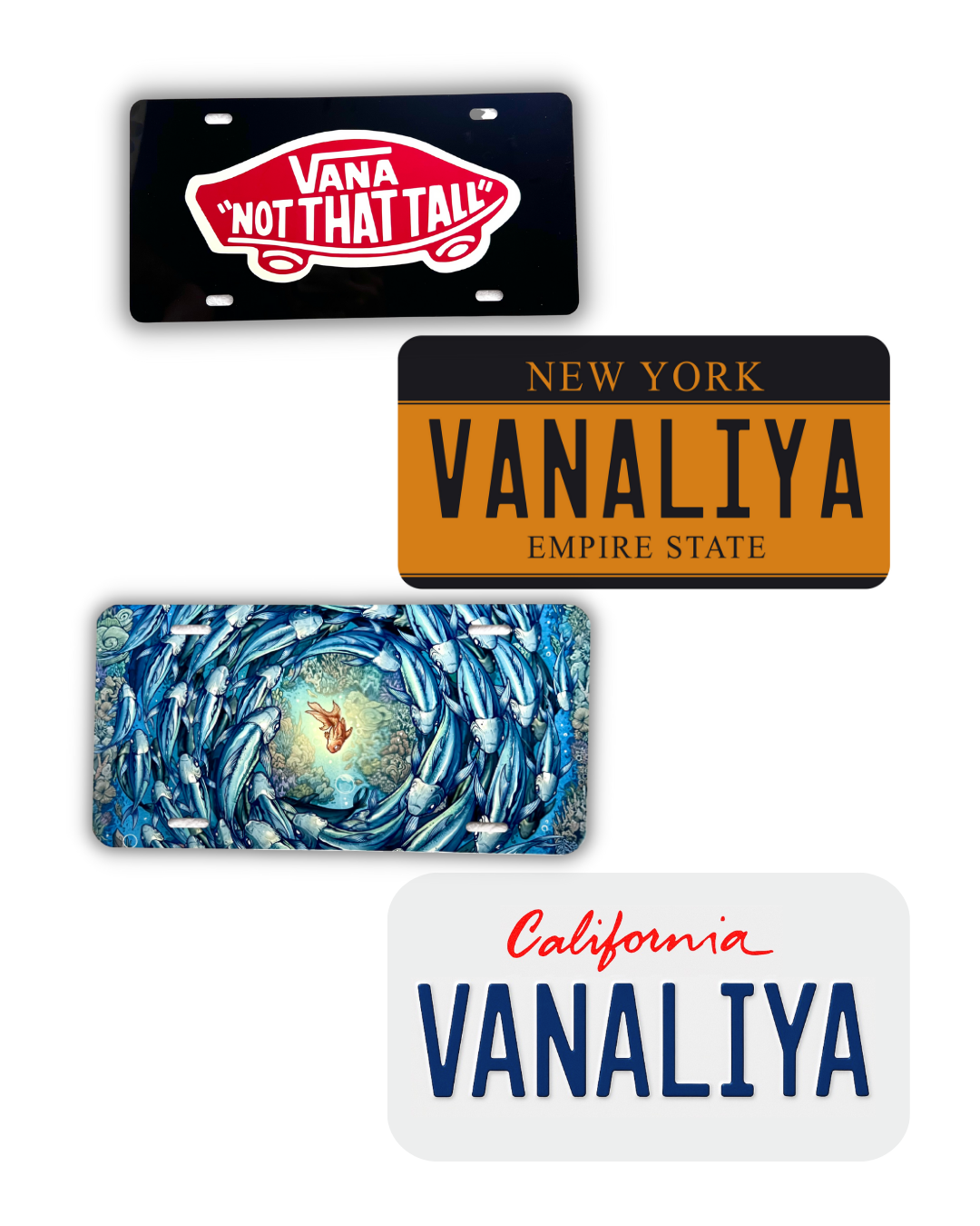 License Plate